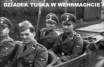tusk